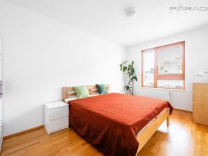 Pronájem bytu 2+kk, Praha - Záběhlice, Mattioliho, 66 m2