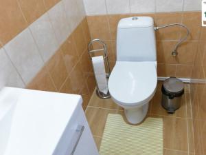 Prodej rodinného domu, Chodová Planá, Pohraniční stráže, 301 m2