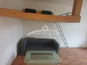 Pronájem bytu 1+kk, Plzeň - Východní Předměstí, Brojova, 20 m2