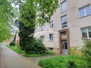 Pronájem bytu 1+kk, Plzeň - Východní Předměstí, Brojova, 20 m2