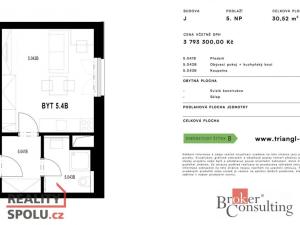 Prodej bytu 1+kk, Plzeň - Jižní Předměstí, Měděná, 29 m2