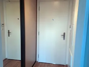 Pronájem bytu 1+kk, Praha - Žižkov, Jana Želivského, 41 m2