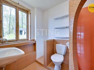 Prodej chalupy, Moravský Beroun, Horní, 173 m2