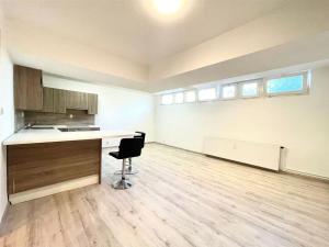 Prodej bytu 1+kk, Praha - Žižkov, Na Jarově, 40 m2