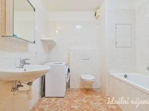 Pronájem bytu 1+kk, Brno - Staré Brno, Vodní, 60 m2