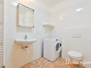 Pronájem bytu 1+kk, Brno - Staré Brno, Vodní, 60 m2