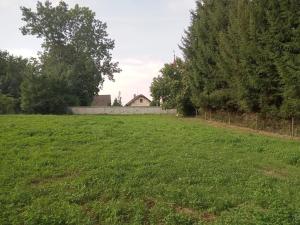 Prodej zemědělské usedlosti, Sezemice, 200 m2
