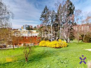 Pronájem bytu 2+1, Uherský Brod, Družstevní, 54 m2