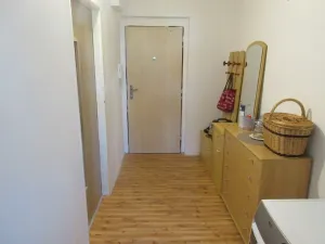 Prodej bytu 3+1, Protivín, Družstevní, 78 m2
