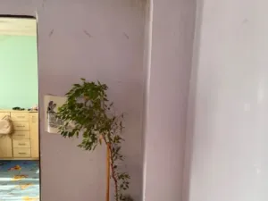 Dražba rodinného domu, Český Těšín, Na Dolinách, 140 m2