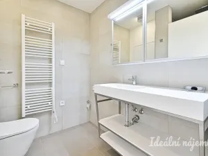 Pronájem bytu 1+kk, Brno - Židenice, Slatinská, 32 m2