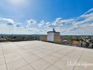 Pronájem bytu 1+kk, Brno - Židenice, Slatinská, 32 m2