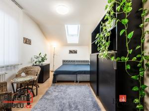 Prodej bytu 5+kk, Vyškov - Vyškov-Předměstí, Smetanovo nábřeží, 147 m2