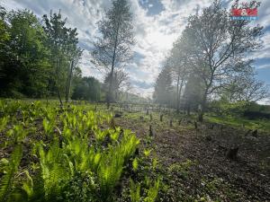Prodej pozemku pro bydlení, Orlová, Bezručova, 829 m2