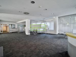 Pronájem obchodního prostoru, Praha - Žižkov, Hartigova, 747 m2