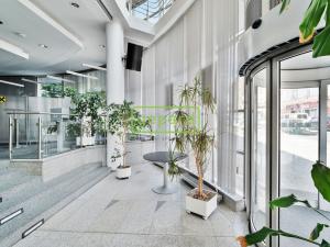 Pronájem obchodního prostoru, Praha - Žižkov, Hartigova, 747 m2