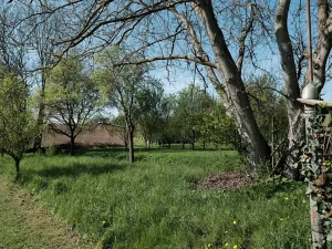 Prodej zahrady, Šumice, 781 m2