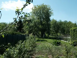 Pronájem rodinného domu, Šumice, 75 m2
