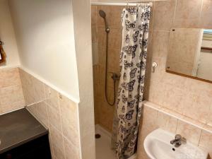 Pronájem bytu 1+1, Praha - Vinohrady, Radhošťská, 36 m2
