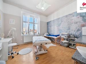 Prodej komerční nemovitosti, Hradec Králové, Havlíčkova, 392 m2