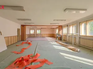 Prodej obchodního prostoru, Úpice, Dr. Teuchmanna, 1817 m2