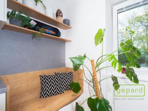 Prodej bytu 2+kk, Praha - Vysočany, Nemocniční, 66 m2