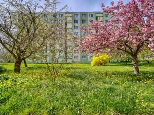 Pronájem bytu 2+1, Chomutov, Kostnická, 58 m2