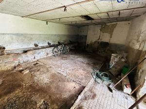 Prodej vícegeneračního domu, Pavlovice u Kojetína, 300 m2