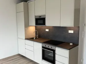 Prodej bytu 2+kk, Praha - Holešovice, U Pergamenky, 59 m2