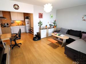 Pronájem bytu 4+kk, Brno - Starý Lískovec, Oderská, 65 m2