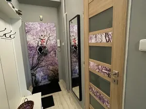 Prodej bytu 2+kk, Jihlava, Jiráskova, 46 m2