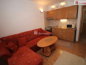 Pronájem bytu 1+kk, Mariánské Lázně - Úšovice, Tepelská, 20 m2
