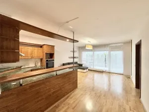 Pronájem bytu 2+kk, Liberec - Liberec V-Kristiánov, Humpolecká, 55 m2