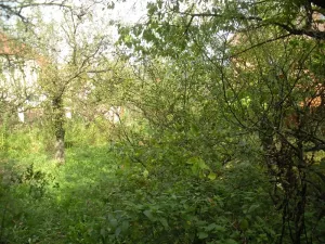Pronájem rodinného domu, Praha - Šeberov, 30 m2