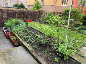 Pronájem bytu 3+kk, Praha - Podolí, Brabcova, 61 m2