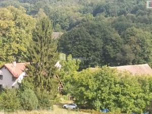 Prodej zemědělského objektu, Bílá - Petrašovice, 4386 m2