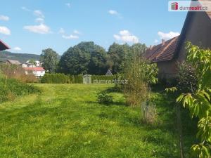 Prodej zemědělského objektu, Bílá - Petrašovice, 4386 m2
