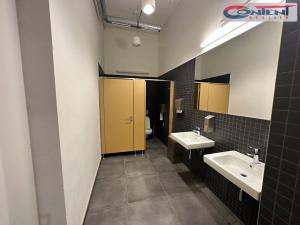 Pronájem skladu, Měšice, Nádražní, 435 m2