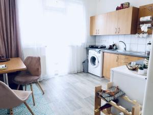 Pronájem bytu 1+1, Hradec Králové - Pražské Předměstí, Gočárova třída, 36 m2