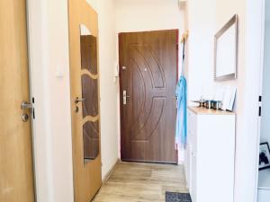 Pronájem bytu 1+1, Hradec Králové - Pražské Předměstí, Gočárova třída, 36 m2