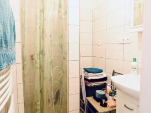 Pronájem bytu 1+1, Hradec Králové - Pražské Předměstí, Gočárova třída, 36 m2