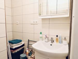 Pronájem bytu 1+1, Hradec Králové - Pražské Předměstí, Gočárova třída, 36 m2