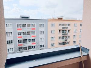 Pronájem bytu 1+1, Hradec Králové - Pražské Předměstí, Gočárova třída, 36 m2