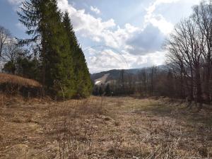 Prodej lesa, Lipová-lázně, 12392 m2