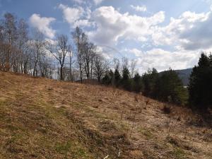 Prodej lesa, Lipová-lázně, 12392 m2