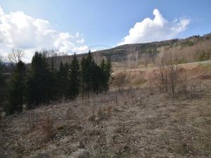 Prodej lesa, Lipová-lázně, 12392 m2