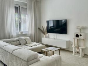 Pronájem bytu 2+kk, Žatec, Otokara Březiny, 52 m2