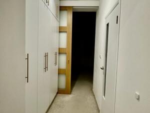 Pronájem bytu 2+kk, Žatec, Otokara Březiny, 52 m2