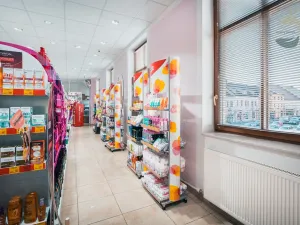 Prodej obchodního prostoru, Sušice, náměstí Svobody, 628 m2