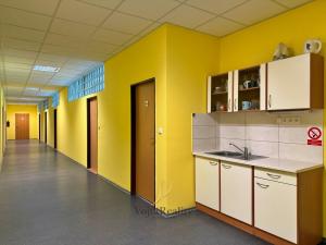 Pronájem kanceláře, Olomouc - Hejčín, Dolní hejčínská, 50 m2